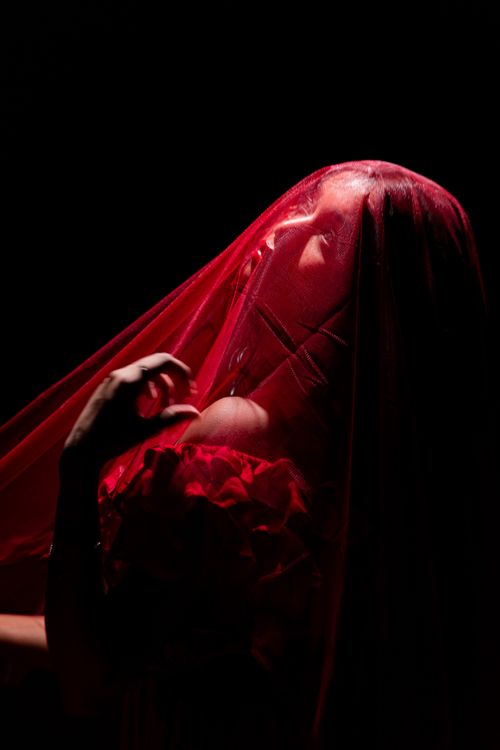 Free Artistic silhouette of a woman shrouded in a red veil, creating a mysterious and dramatic mood. Stock Photo