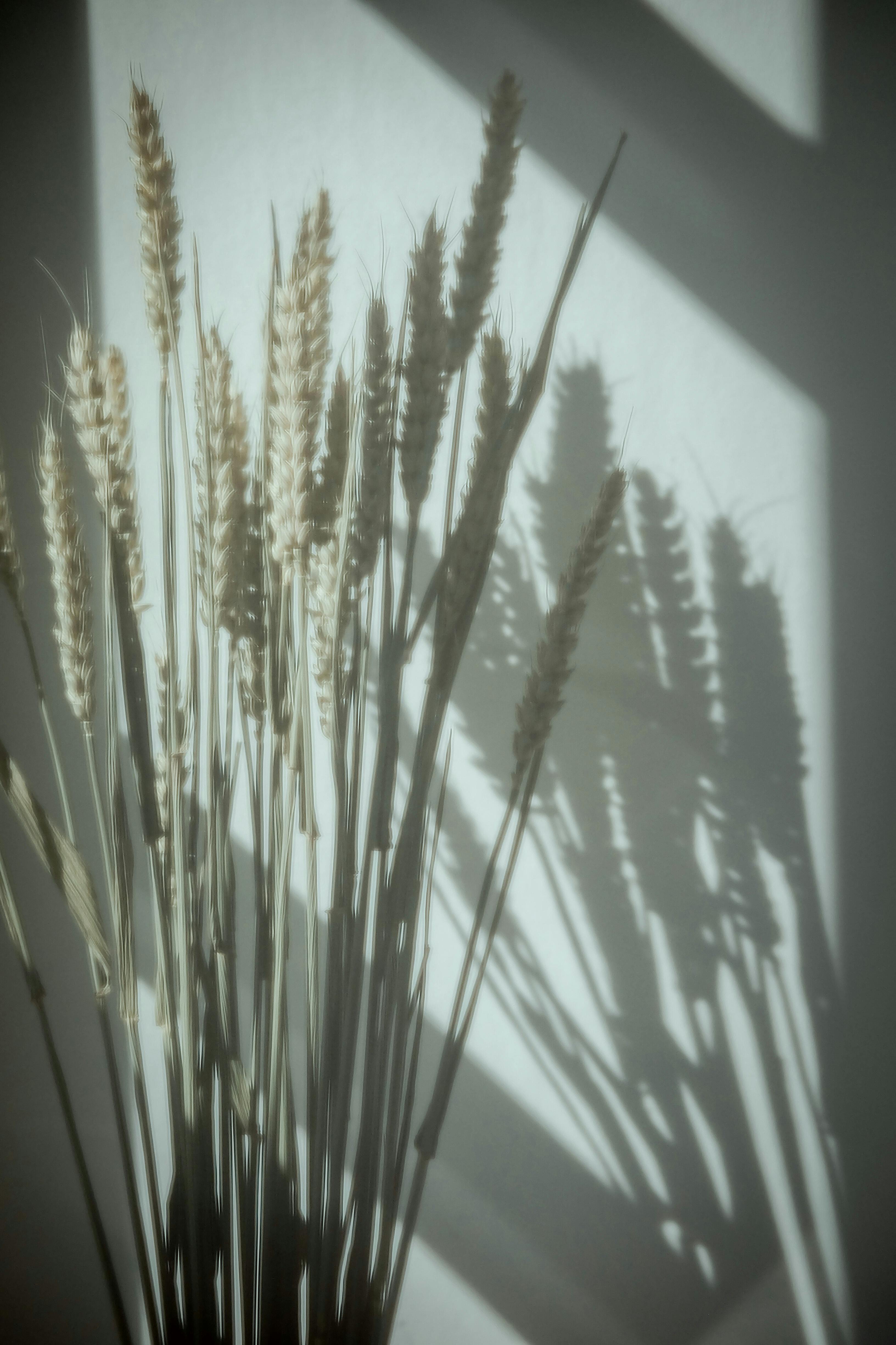 Mother holding her baby while speaking with a health professional