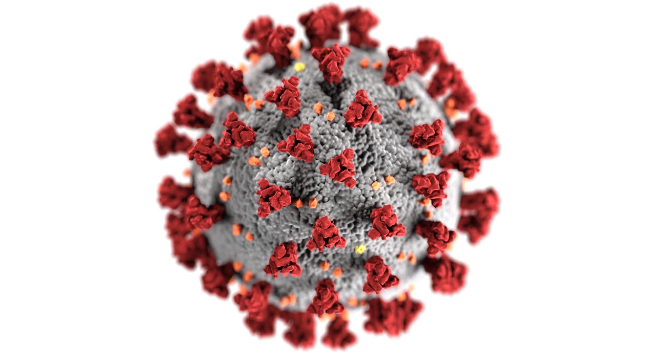 Free Coronavirus Stock Photo