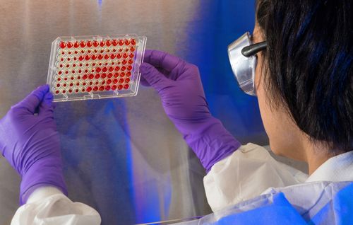 Free Close-up of a scientist examining a sample tray in a laboratory environment. Stock Photo
