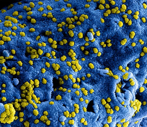 Free Microscopic Shot Of A Virus Stock Photo