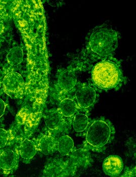 Immagine di ricerca sui virus in laboratorio