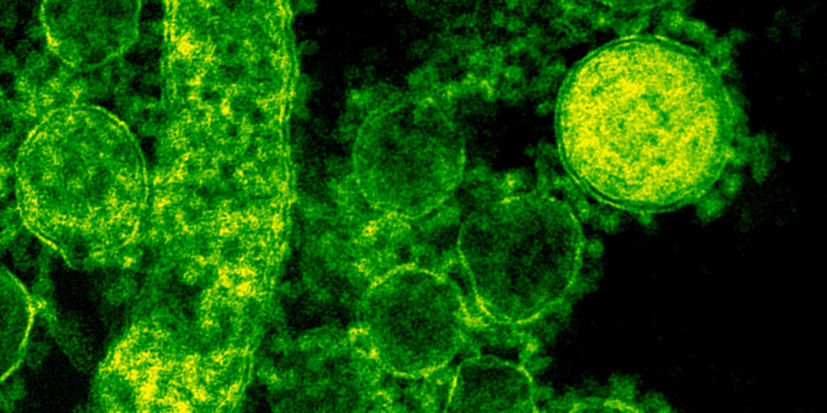 Genetic recombination and mapping