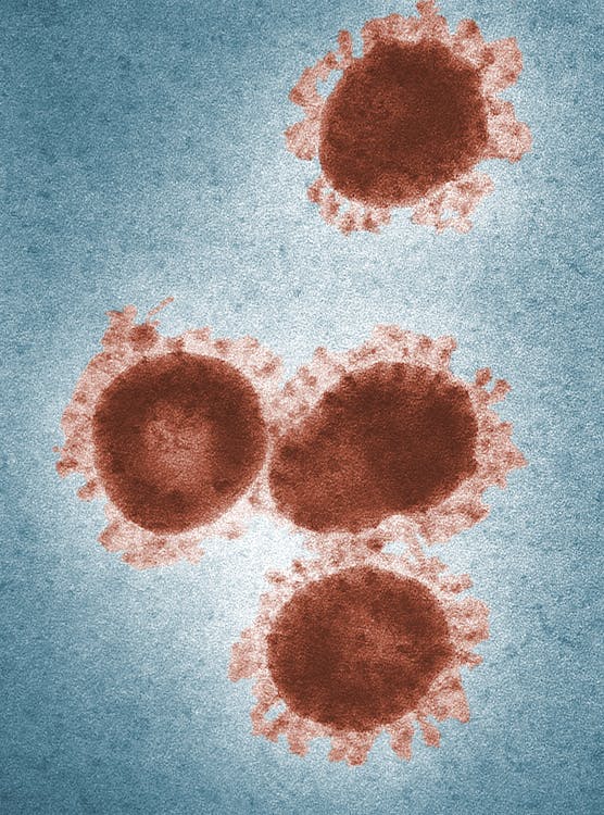 Mikroskopijne Ujęcie Wirusa