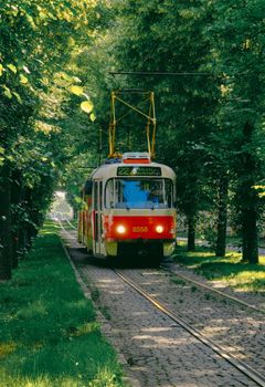 Vintage tram through lush green trees in Prague, Czech Republic.