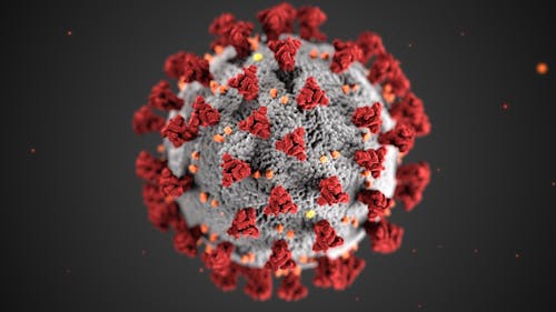Kostnadsfri bild av begrepp, coronavirus, covid-19