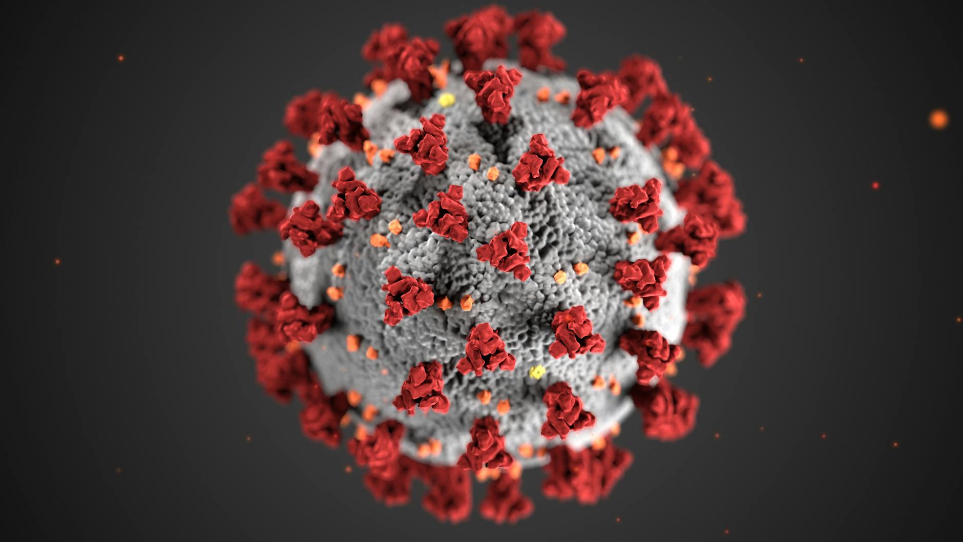 Image montrant un coronavirus. | Photo :  Pexel