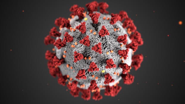 Rappresentazione schematica della struttura di un virus