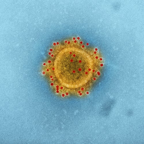 Free Microscopic Shot Of A Virus Stock Photo