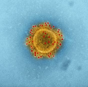 Microscopic Shot Of A Virus
