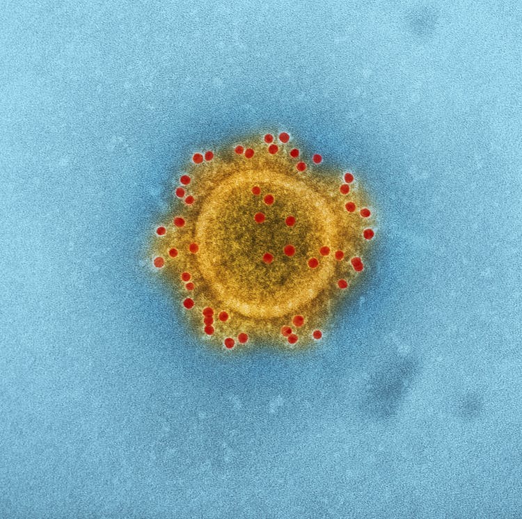 Microscopic Shot Of A Virus