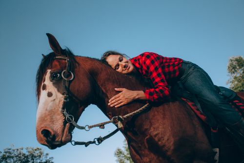 Free A woman lovingly embraces a horse, creating a serene connection in a sunny outdoor setting. Stock Photo