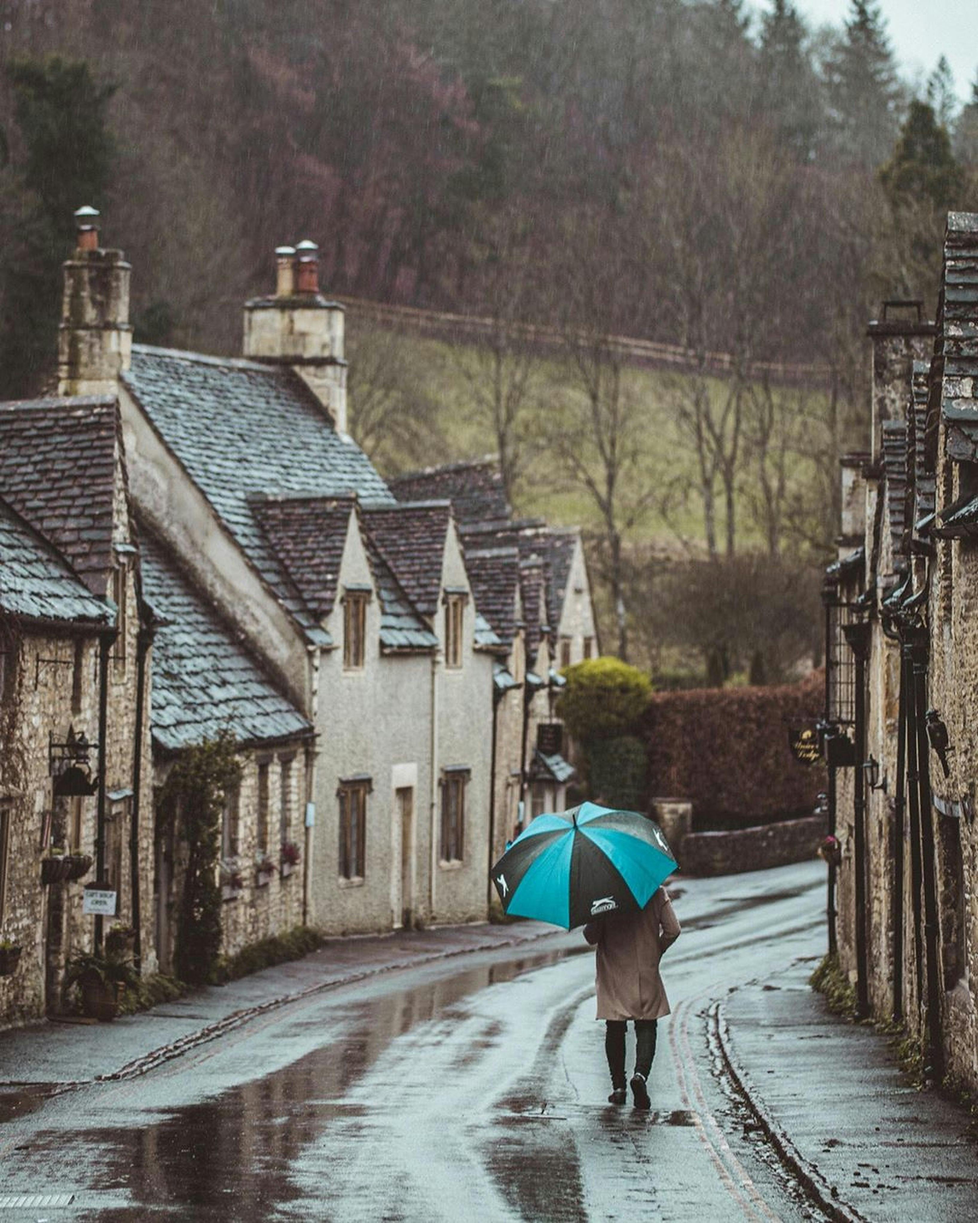 Illustration concept of hair follicles in the scalp