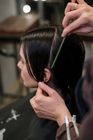 Basic Haircut