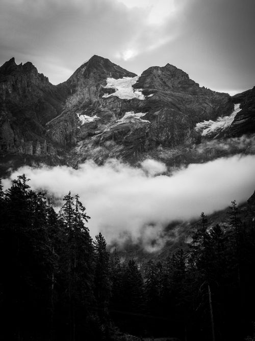 Free Black and white image of a mountain landscape with low clouds and surrounding trees. Stock Photo