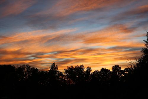 Free A breathtaking sunset with orange and blue hues and silhouetted trees in the foreground. Stock Photo