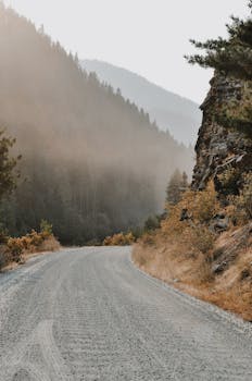 A tranquil mountain road enveloped in fog and surrounded by fall foliage.
