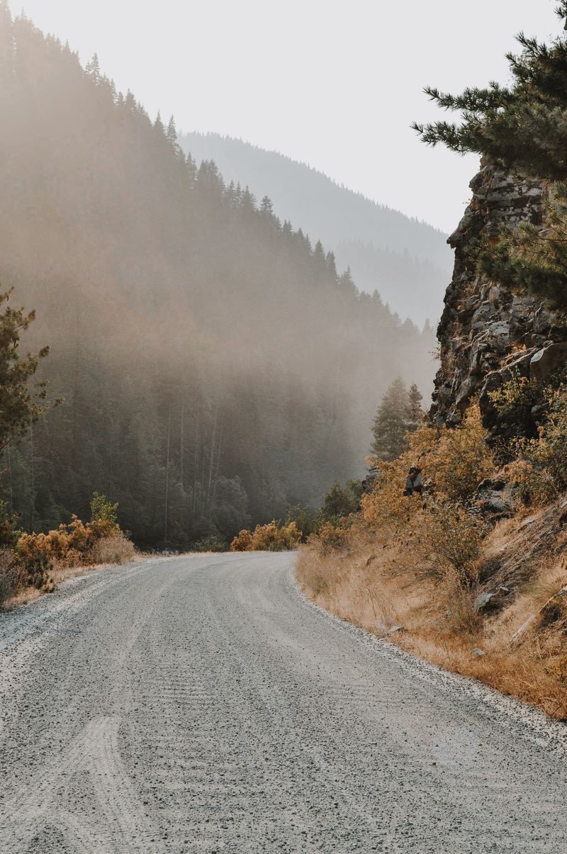 Gravel ridge road bending into golden fog at first light — photo by Jenny Uhling on Pexels