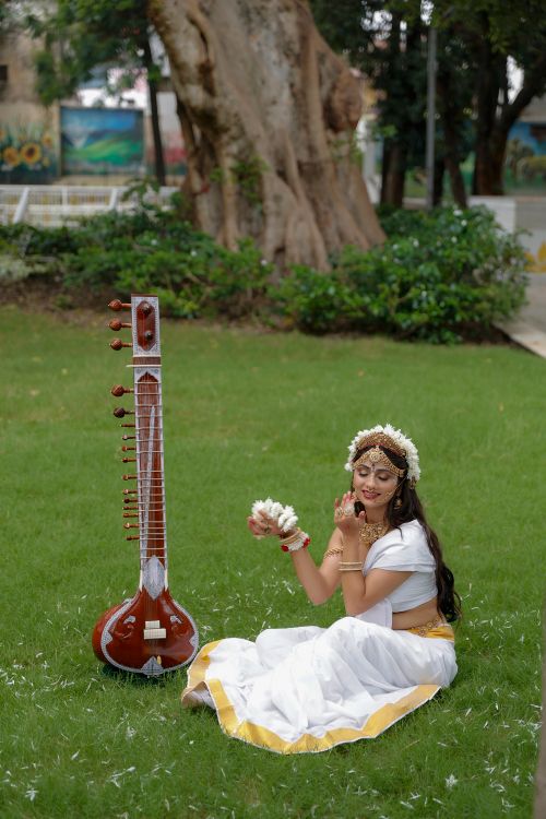 Free Elegant Indian model in traditional attire with sitar outdoors. Stock Photo