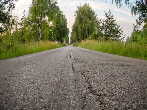 Free A low-angle view of an empty road flanked by lush green trees and vegetation. Stock Photo