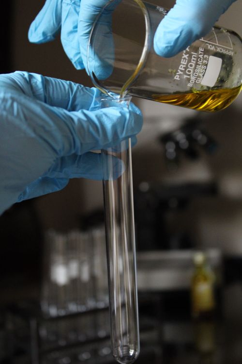 Free Lab technician pouring liquid into test tube in a science lab. Stock Photo