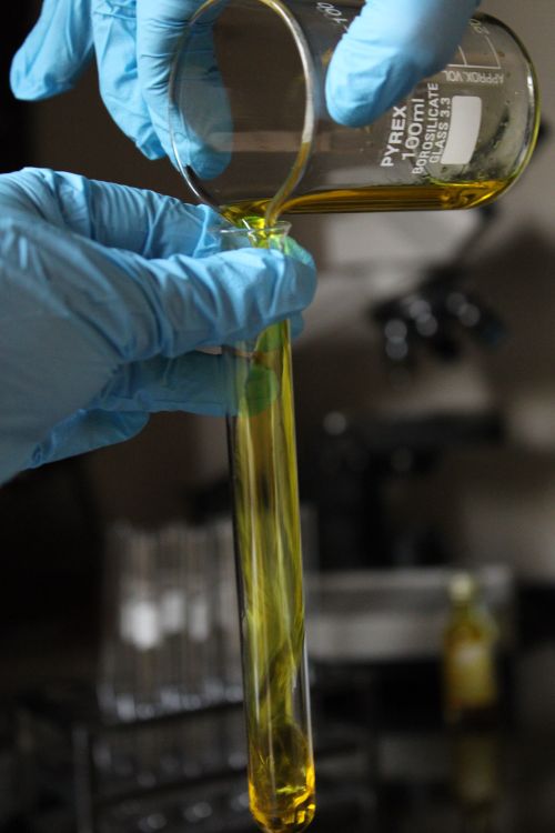 Free Close-up of a scientist pouring yellow liquid into a glass test tube in a laboratory setting. Stock Photo