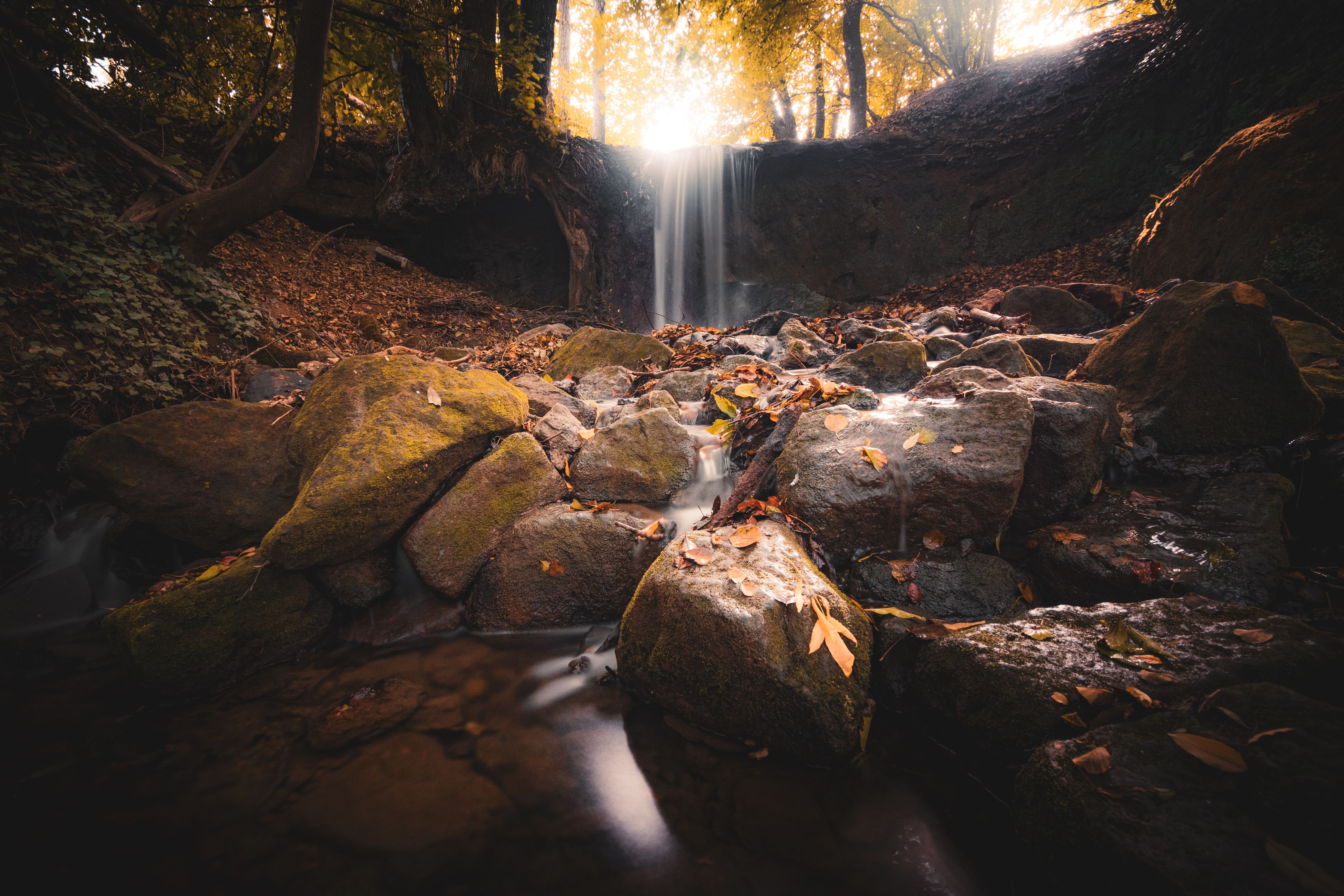 A serene autumn forest scene in Metz with a waterfall and fallen leaves.