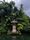 bali indonesia