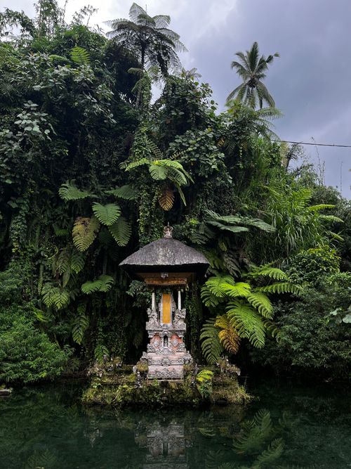 Free A serene view of a traditional Balinese shrine surrounded by dense tropical foliage. Stock Photo