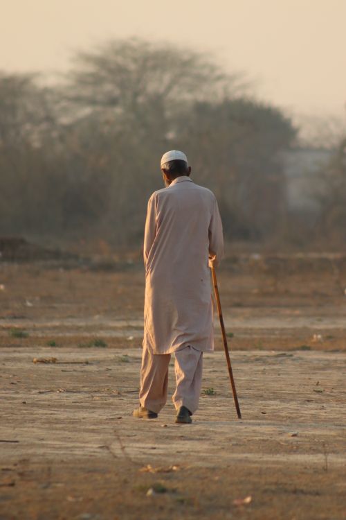 Free An elderly man with a walking stick strolls through a tranquil field at sunset, symbolizing solitude and reflection. Stock Photo