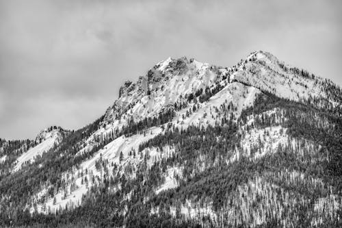 Grayscale Photo of Snow Covered Mountain