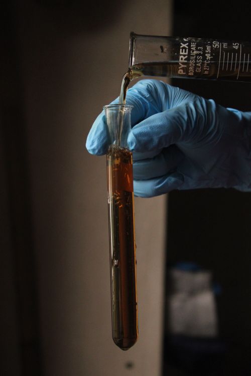 Free Gloved hand pouring liquid into test tube showing laboratory experiment. Stock Photo