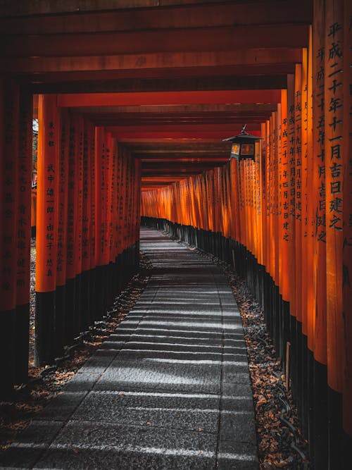 Gratis Fushimi Inari Taisha Foto Stok