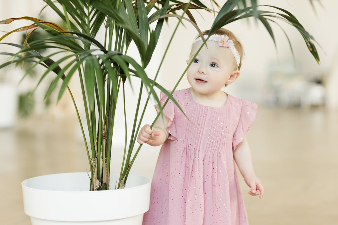 Free Girl in Pink Dress Holding Green Plant Stock Photo