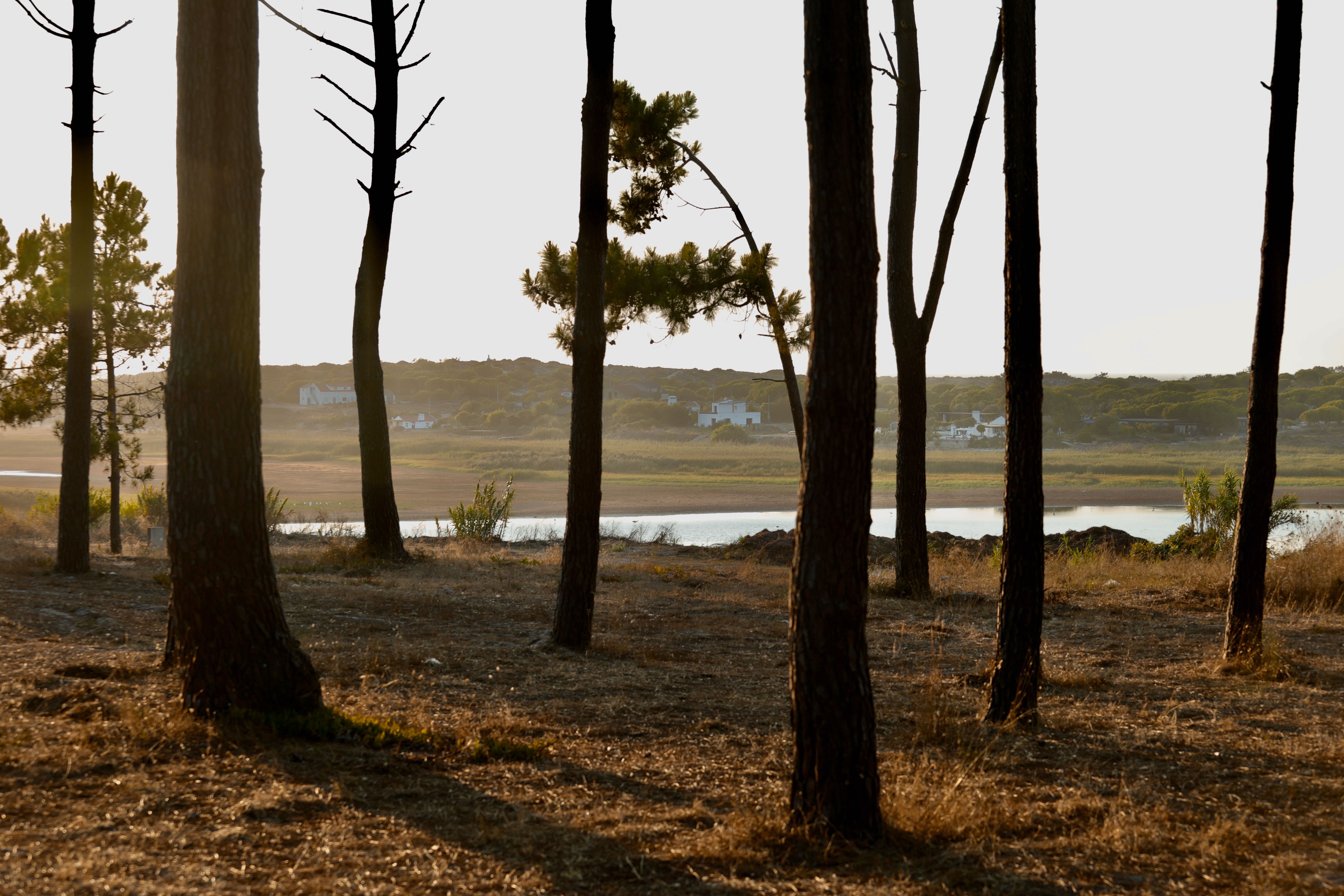 Landmarks in Comporta