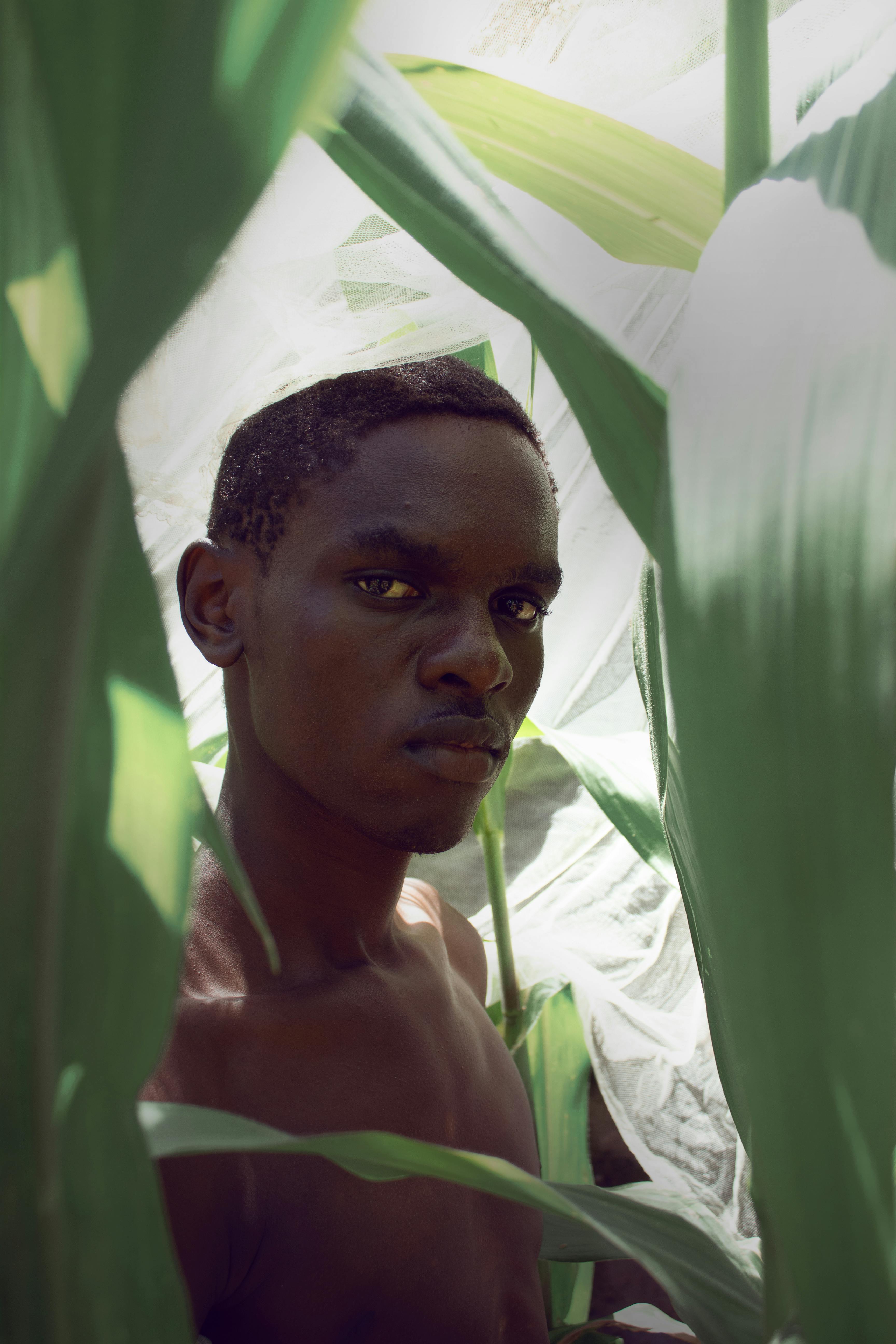 A captivating portrait of a young man standing amidst green maize plants in Kilgoris, Kenya.