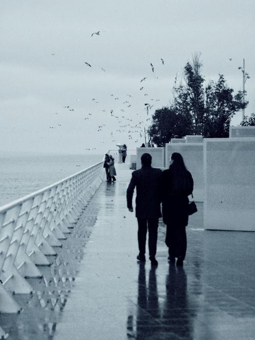 Free Couples walk along a rainy waterfront promenade with birds flying above. Stock Photo