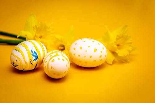 Easter Eggs Beside Yellow Flowers 