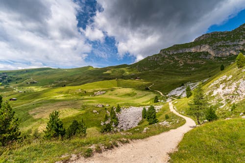 Narrow Path Between Green Grass Field