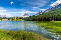 Green Trees Near Lake Under Blue Sky