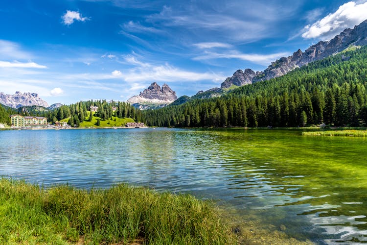 Green Trees Near Lake Under Blue Sky