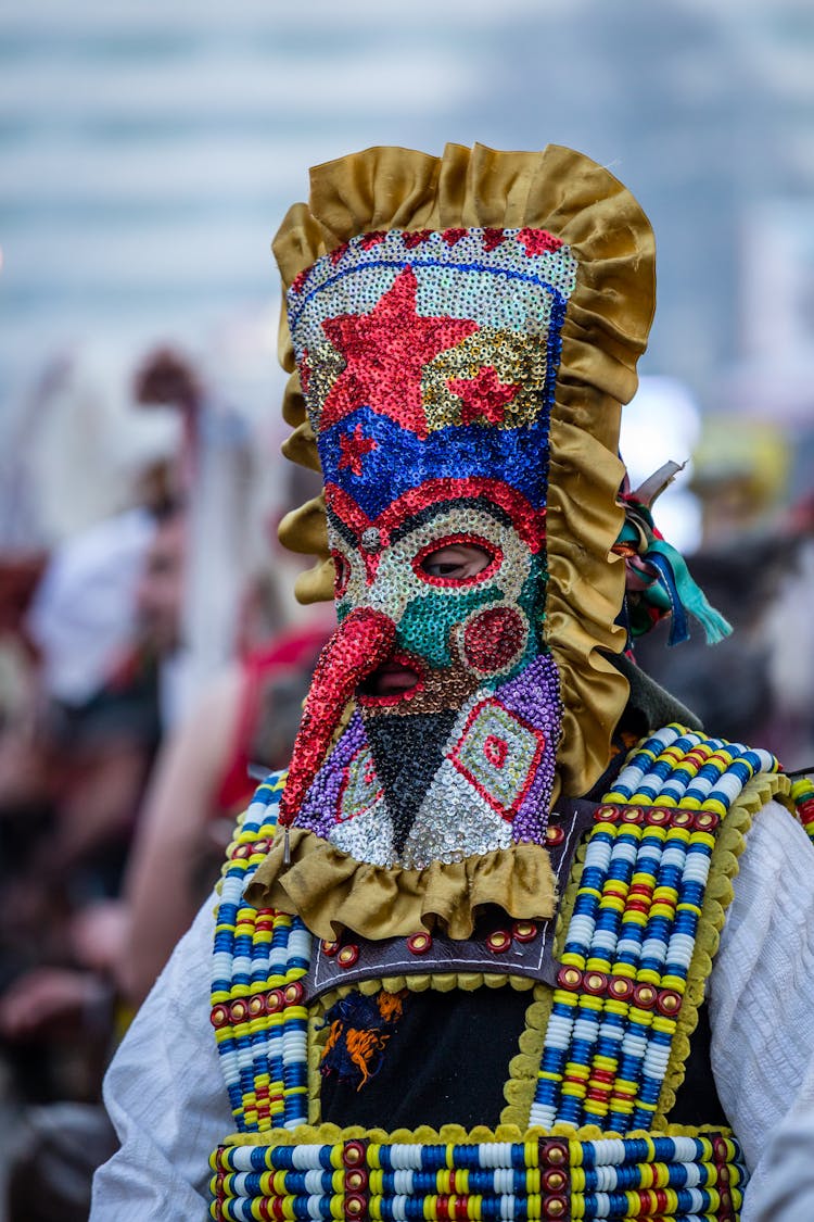 Person In Colored Mask Costume