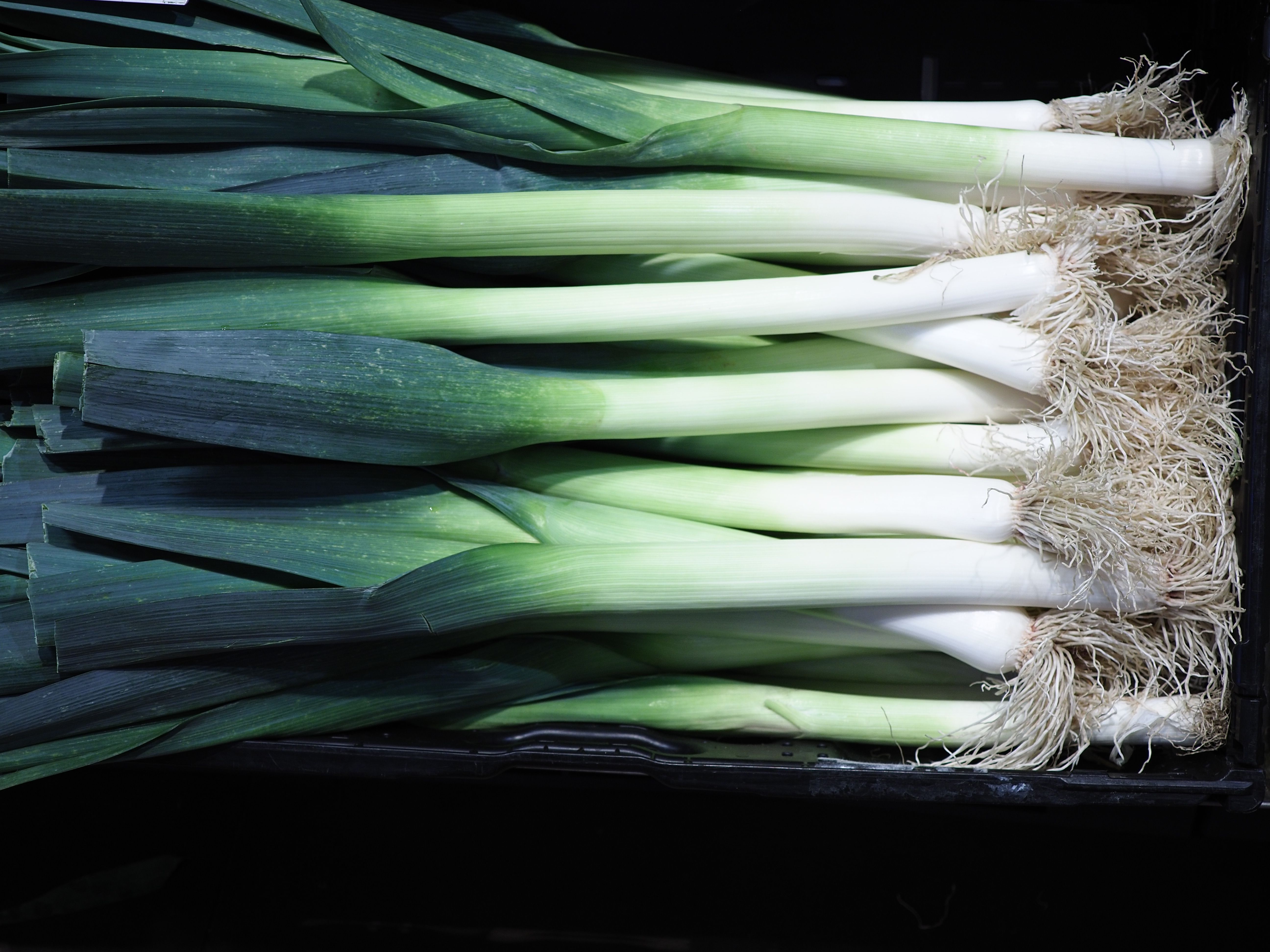 A close-up of fresh leeks neatly stacked, showcasing their vibrant green and white colors.