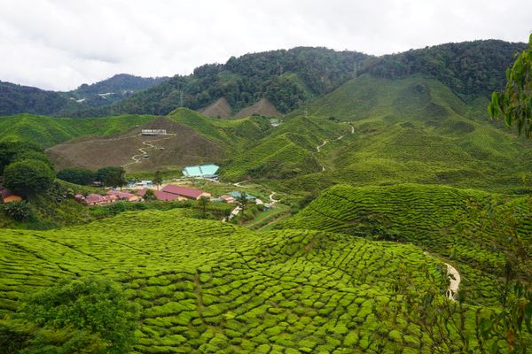 Malaysia Tropical Paradise - Activity & Sightseeing