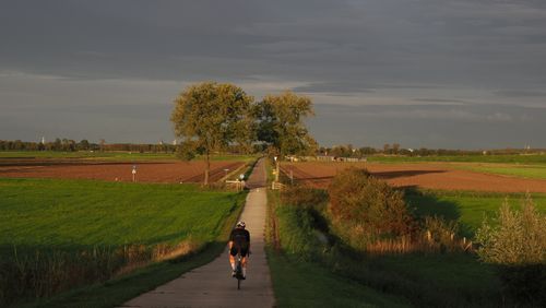 Free Cyclist riding on a tranquil country path during sunset in Kampen, Overijssel. Stock Photo