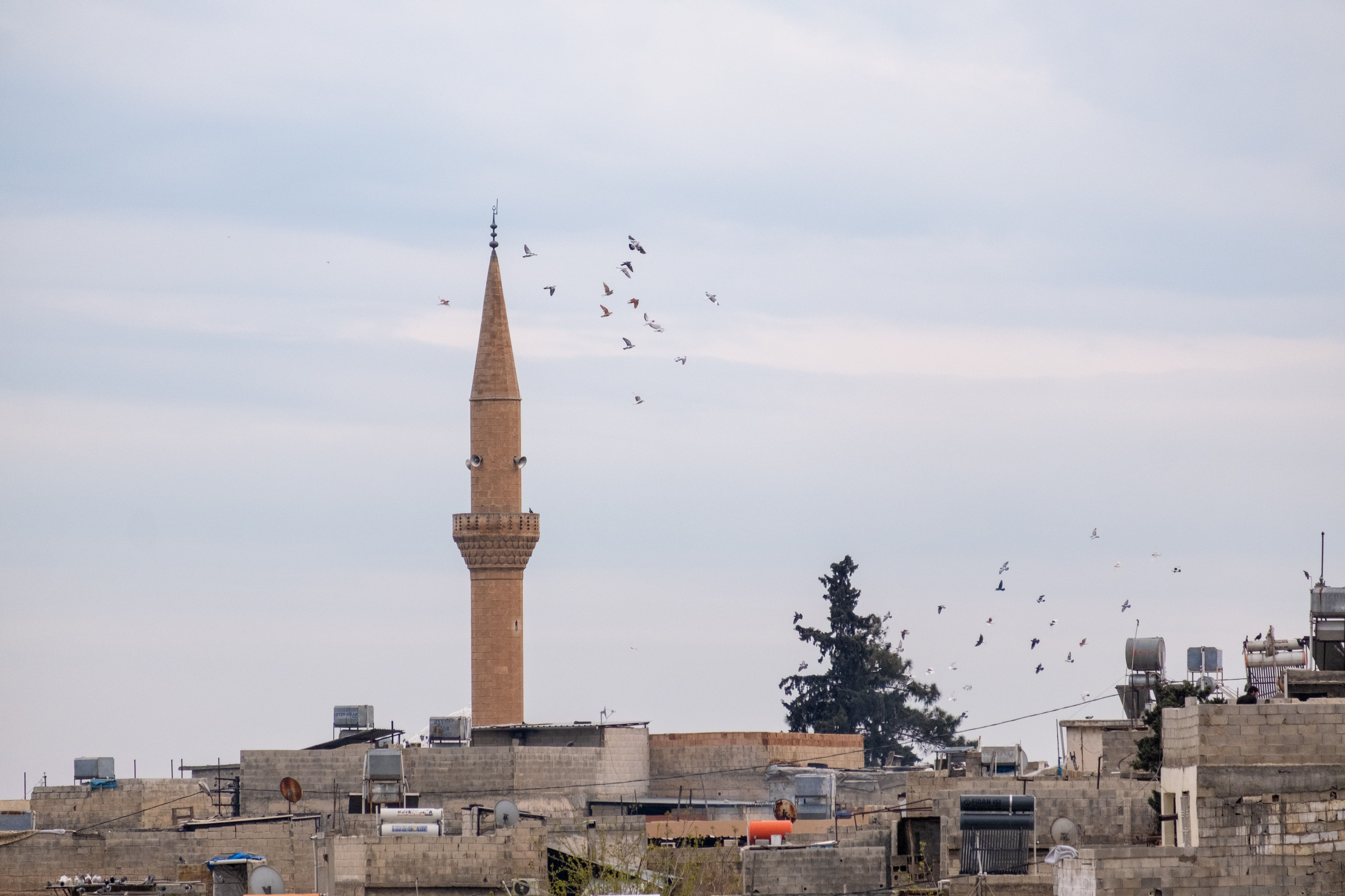 Minaret tower rises above urban rooftops with birds flying against a cloudy sky.
