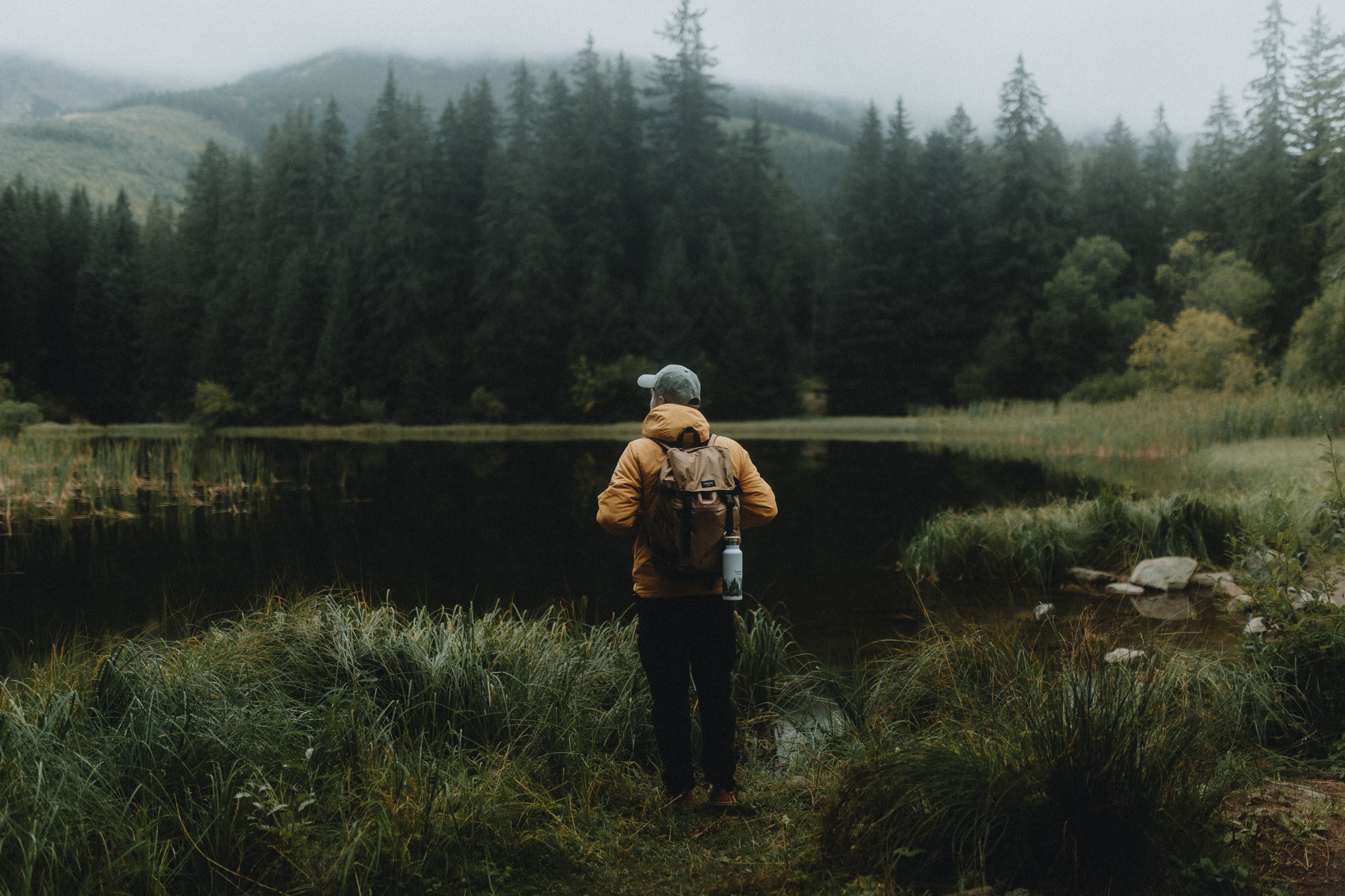 A lone hiker explores a serene lake surrounded by dense forests in Demänovská Dolina, Slovakia.