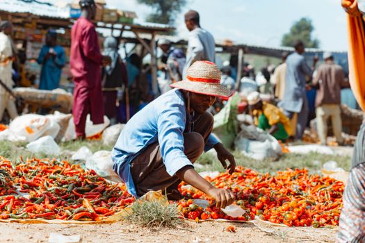 A vendor in a busy outdoor market sorting vibrant red peppers under a blue sky.
