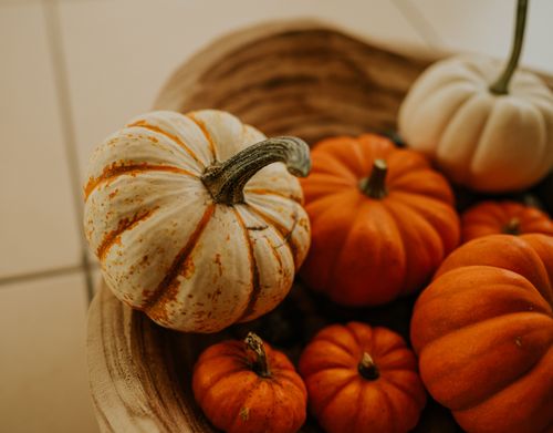 Free Artistic display of assorted pumpkins highlighting autumnal decor with a warm, inviting tone. Stock Photo