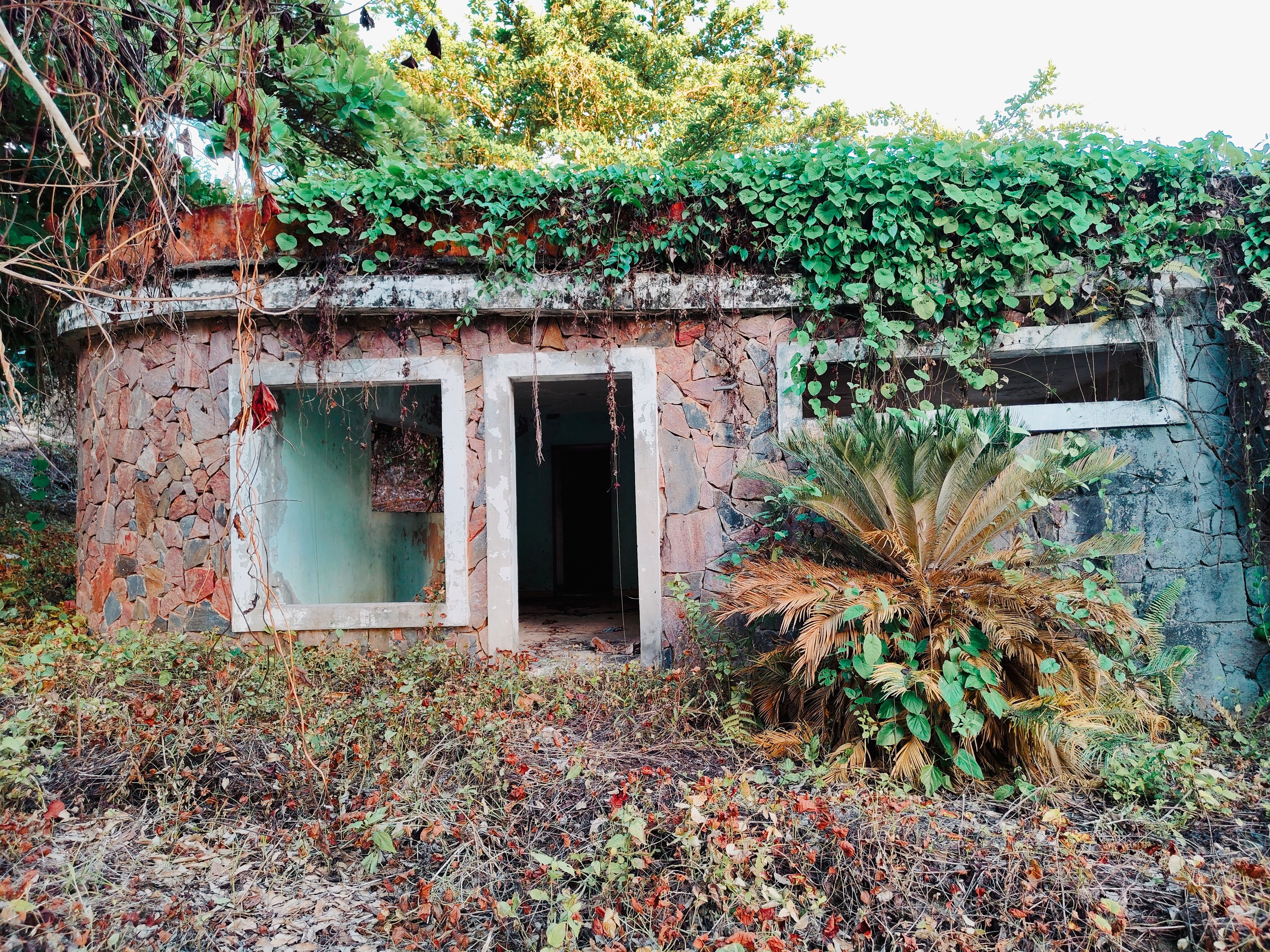 An abandoned stone house overgrown with greenery, exuding a rustic charm.